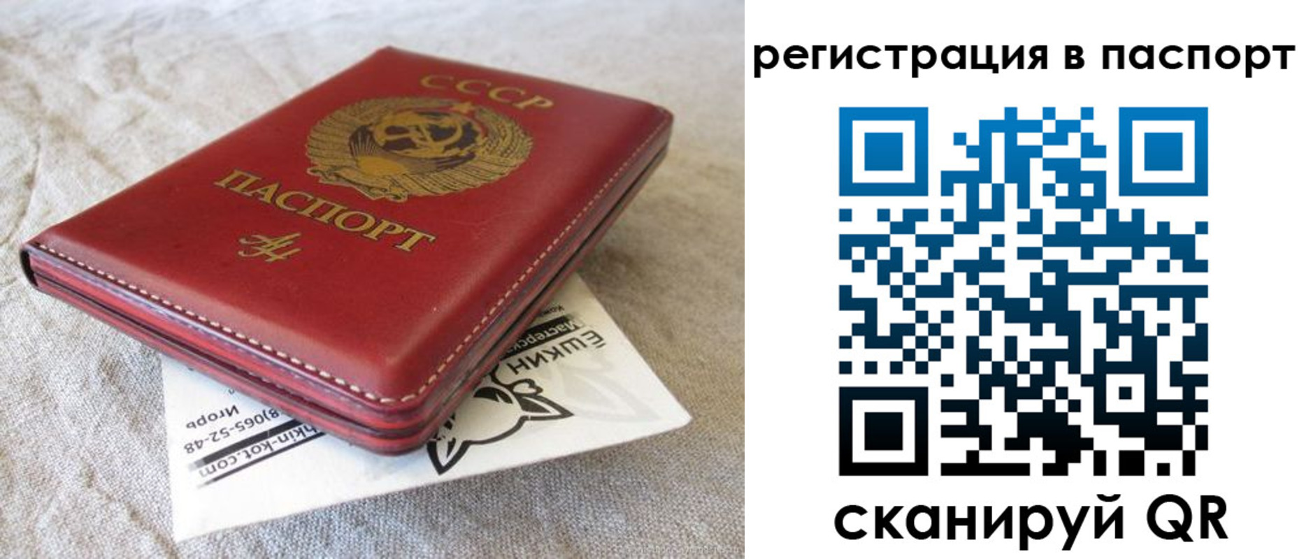 где прописаться в Дальнереченске